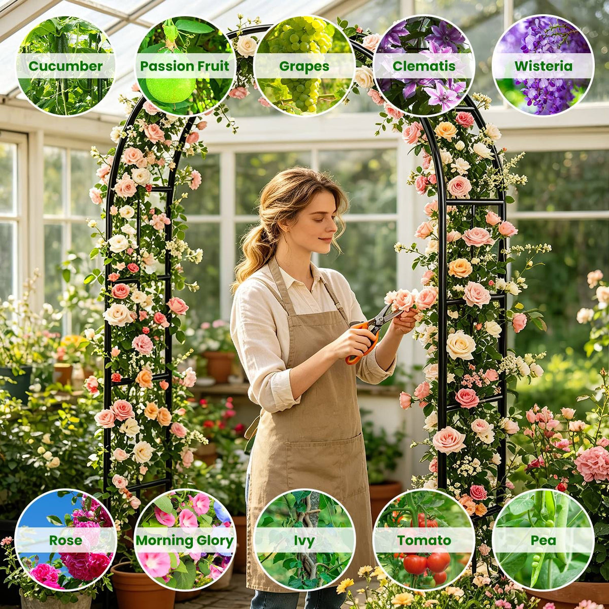 Adjustable Garden Arch for Climbing Plants and Events