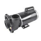 Two-Speed Side-Discharge Spa Pump