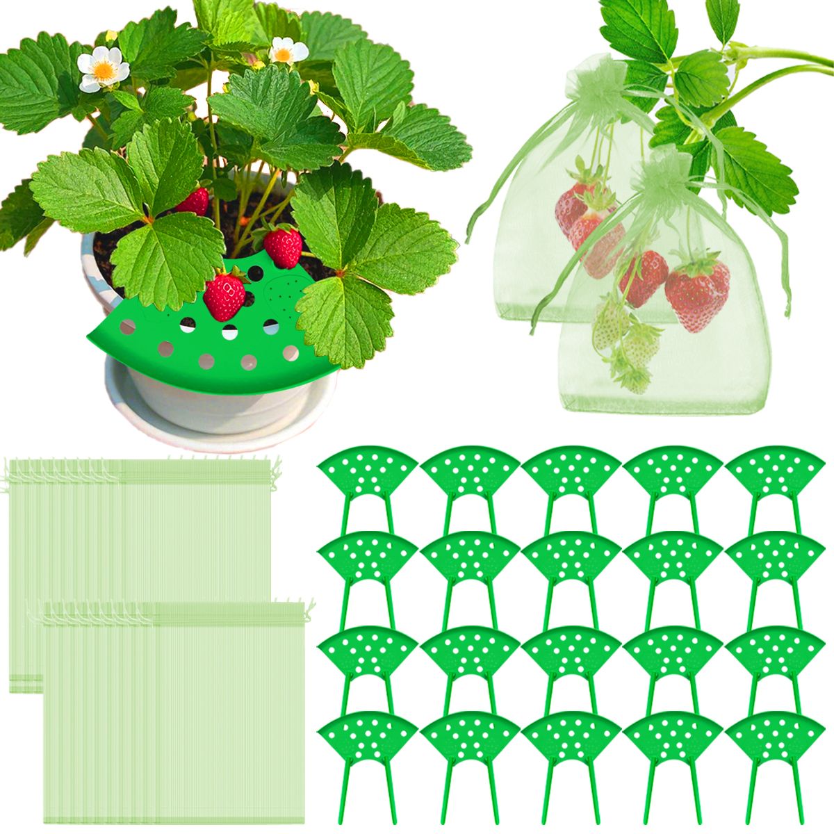 Strawberry Growing Support and Mesh Bag Kit