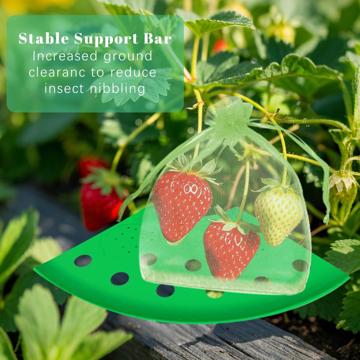 Strawberry Growing Support and Mesh Bag Kit