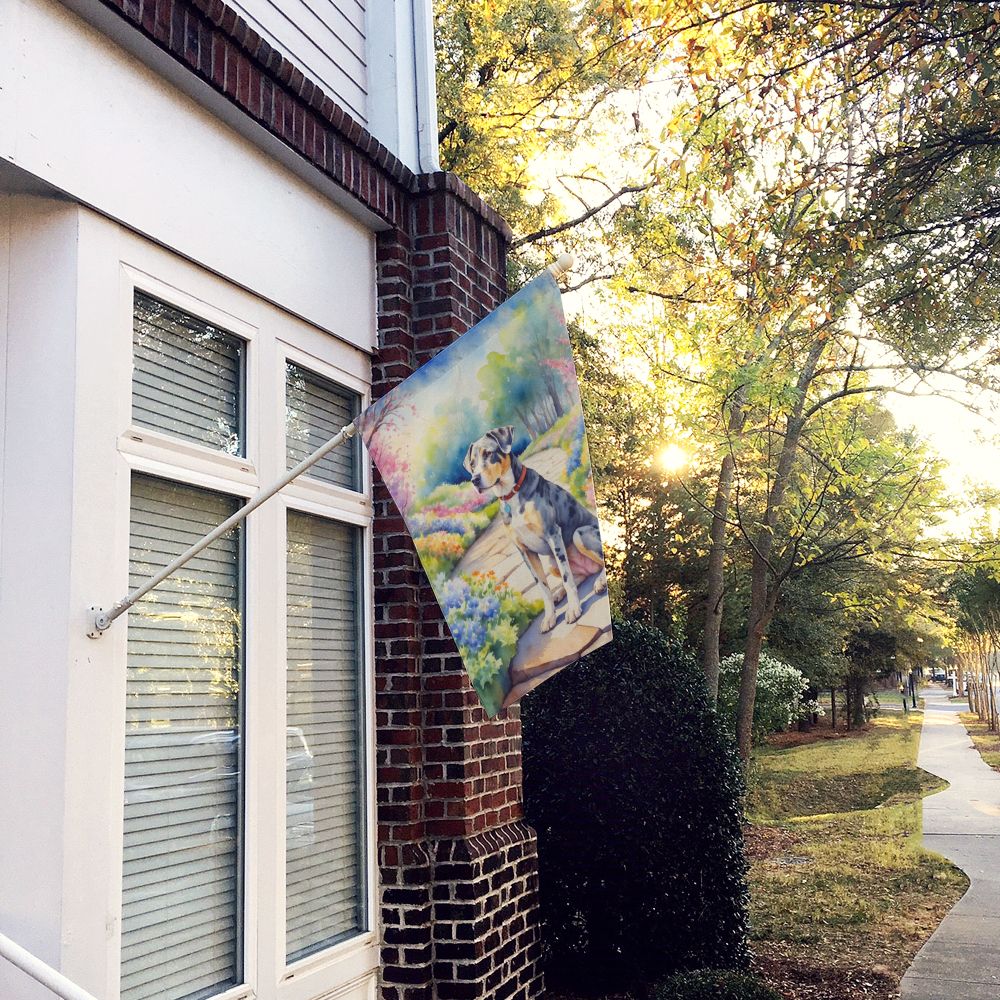 Catahoula Spring Path Decorative House Flag
