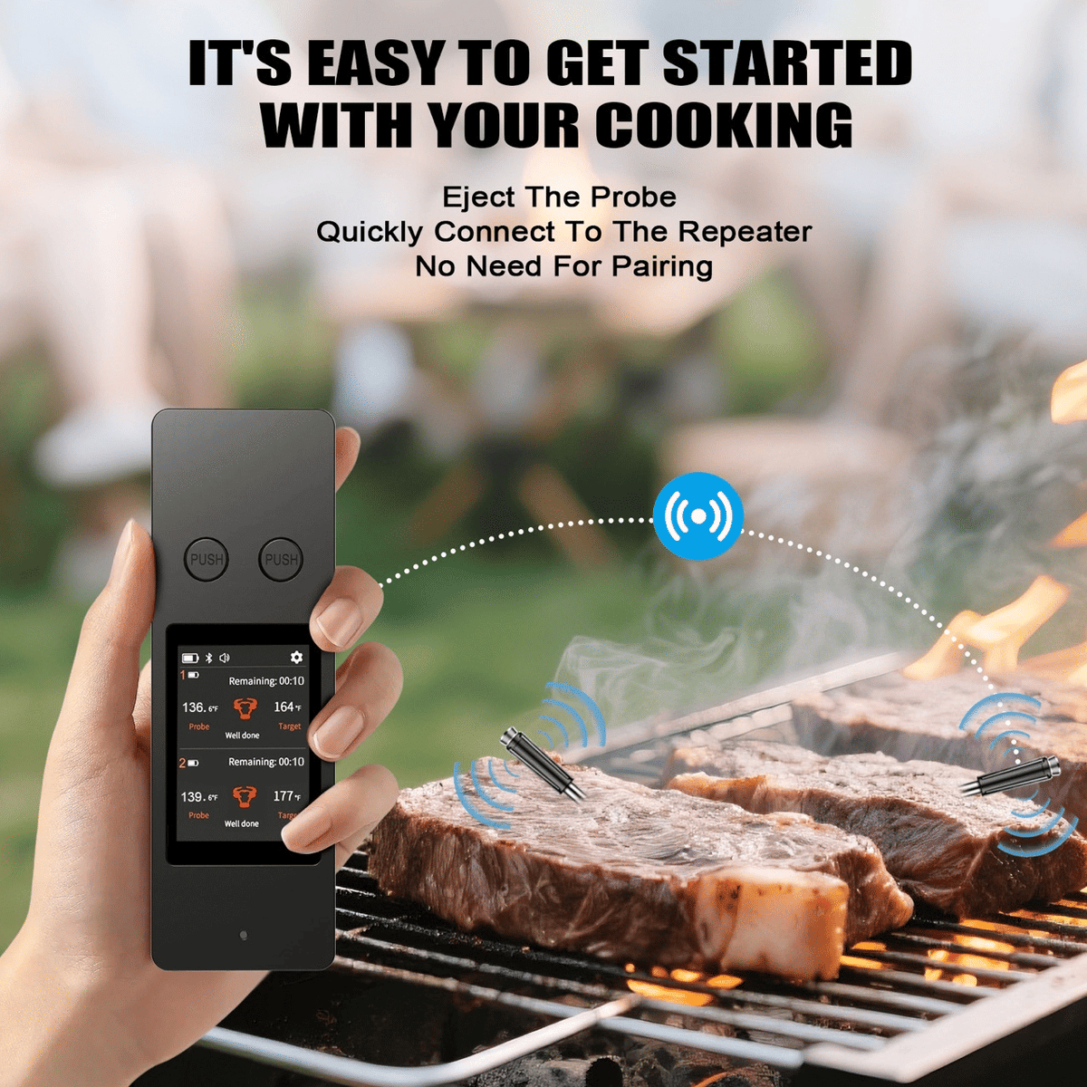 Wireless BBQ Thermometer with Probe Display